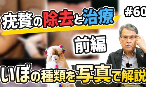 炮姜炭的功效作用-炮姜炭的功效网 - 网站提供炮姜炭的功效与作用小常识、炮姜炭的功效作用与主治